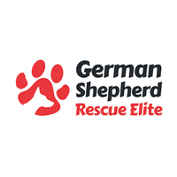 GSR Elite Logo