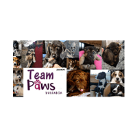 Team Paws Bulgaria Logo