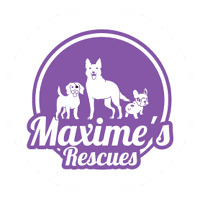 Maxime's Rescue
