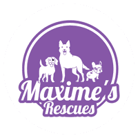 Maxime’s Rescues Logo Maxime's Rescue