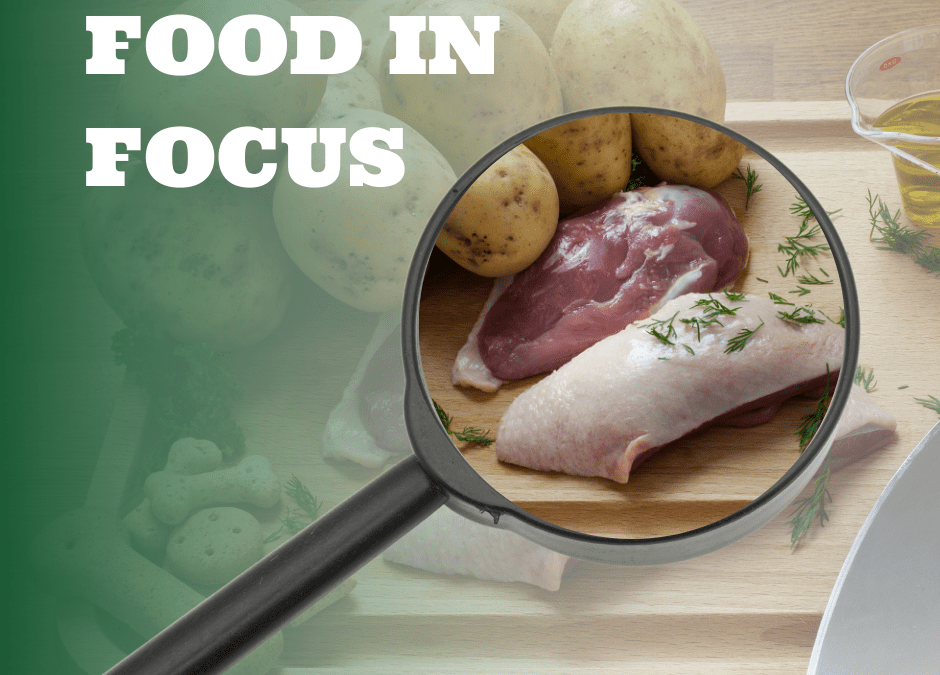 Food in Focus: Duck