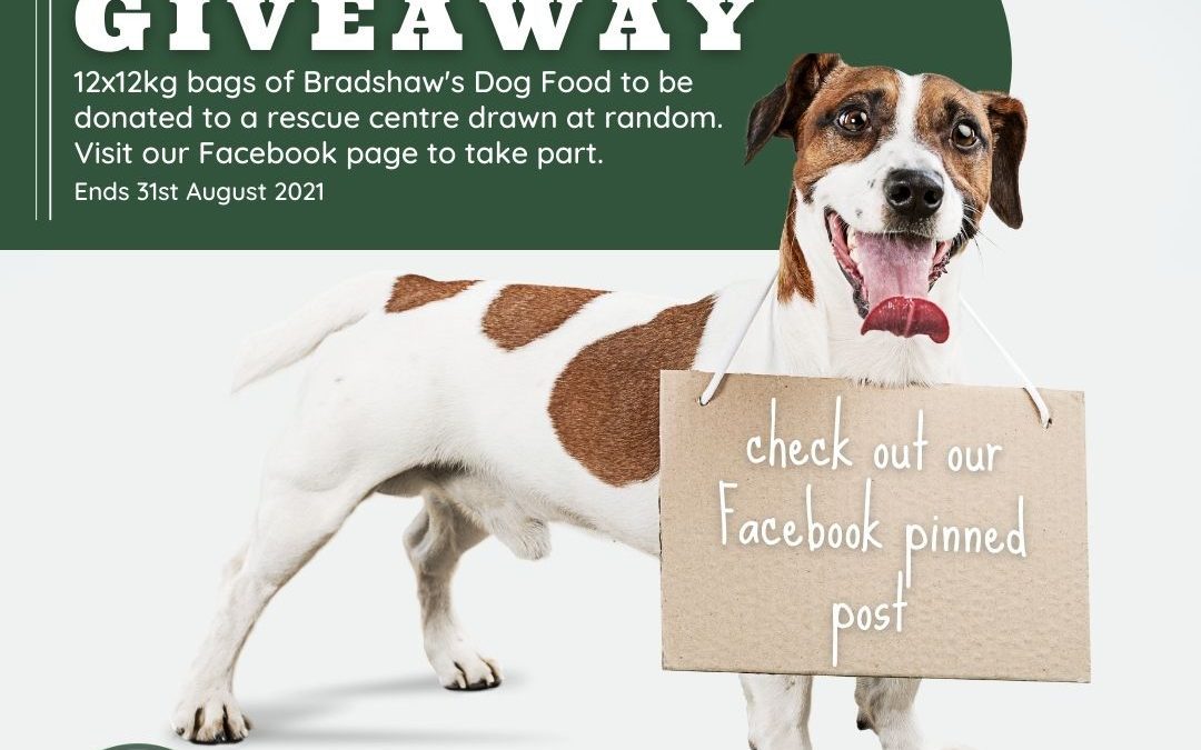 National Dog Month – Giveaway