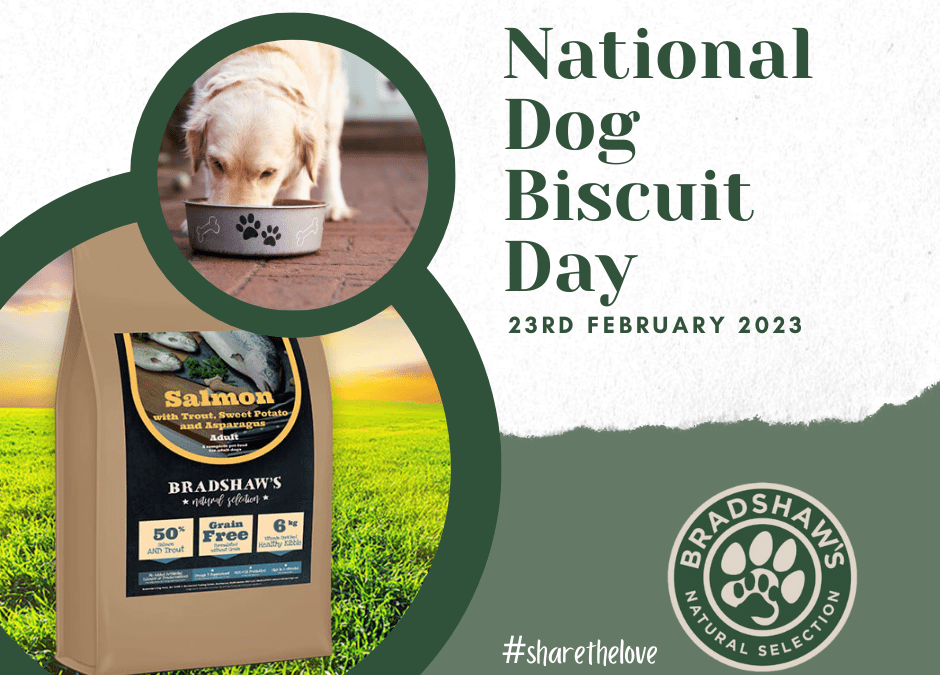 National Dog Biscuit Day!