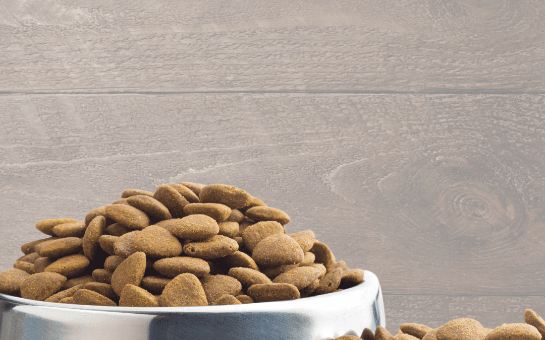 Benefits of feeding your dog kibble / complete dry dog food